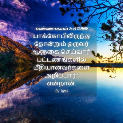 Picture 04 - எண்ணாகமம் 24:19 TAMIRV - யாக்கோபிலிருந்து - Bible Verse Picture