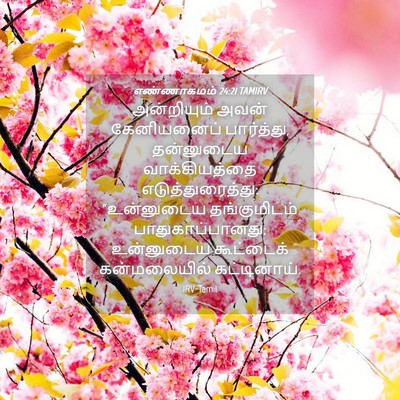 Picture 04 - எண்ணாகமம் 24:21 TAMIRV - அன்றியும் அவன் - Bible Verse Picture