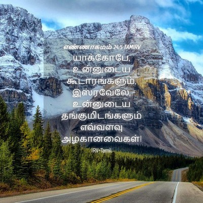 Picture 04 - எண்ணாகமம் 24:5 TAMIRV - யாக்கோபே, - Bible Verse Picture