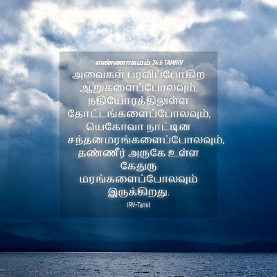 Picture 04 - எண்ணாகமம் 24:6 TAMIRV - அவைகள் - Bible Verse Picture