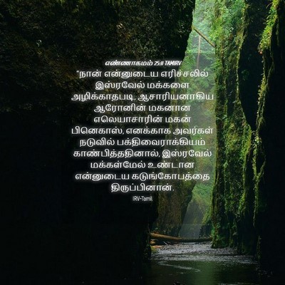 Picture 04 - எண்ணாகமம் 25:11 TAMIRV - “நான் என்னுடைய - Bible Verse Picture