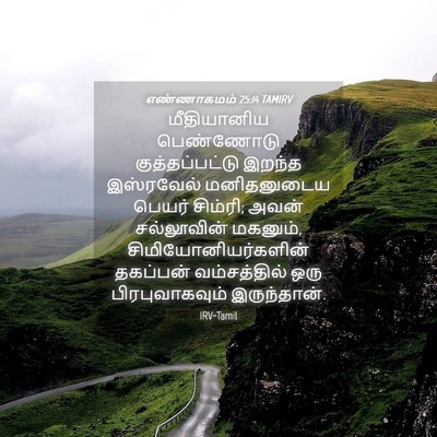 Picture 04 - எண்ணாகமம் 25:14 TAMIRV - மீதியானிய - Bible Verse Picture