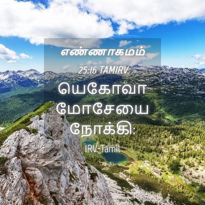 Picture 04 - எண்ணாகமம் 25:16 TAMIRV - யெகோவா மோசேயை - Bible Verse Picture