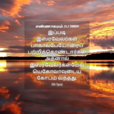 Picture 04 - எண்ணாகமம் 25:3 TAMIRV - இப்படி - Bible Verse Picture