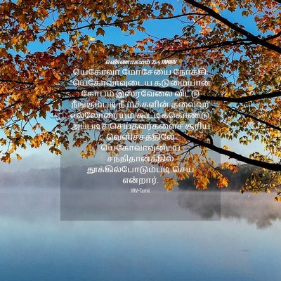 Picture 04 - எண்ணாகமம் 25:4 TAMIRV - யெகோவா மோசேயை - Bible Verse Picture