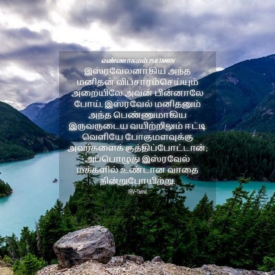 Picture 04 - எண்ணாகமம் 25:8 TAMIRV - இஸ்ரவேலனாகிய அந்த - Bible Verse Picture