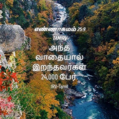 Picture 04 - எண்ணாகமம் 25:9 TAMIRV - அந்த வாதையால் - Bible Verse Picture