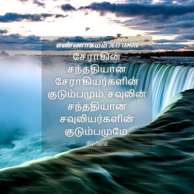 Picture 04 - எண்ணாகமம் 26:13 TAMIRV - சேராகின் - Bible Verse Picture