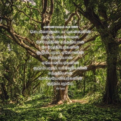 Picture 04 - எண்ணாகமம் 26:26 TAMIRV - செபுலோனுடைய - Bible Verse Picture