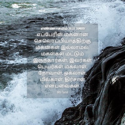 Picture 04 - எண்ணாகமம் 26:33 TAMIRV - எப்பேரின் மகனான - Bible Verse Picture