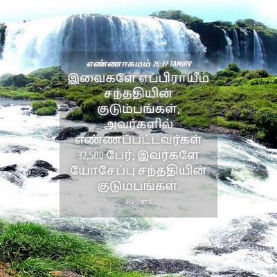 Picture 04 - எண்ணாகமம் 26:37 TAMIRV - இவைகளே - Bible Verse Picture
