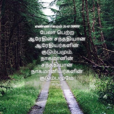 Picture 04 - எண்ணாகமம் 26:40 TAMIRV - பேலா பெற்ற - Bible Verse Picture