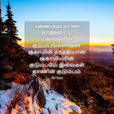 Picture 04 - எண்ணாகமம் 26:42 TAMIRV - தாணுடைய மகன்களின் - Bible Verse Picture