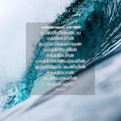 Picture 04 - எண்ணாகமம் 26:48 TAMIRV - நப்தலியினுடைய - Bible Verse Picture