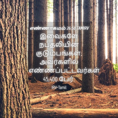 Picture 04 - எண்ணாகமம் 26:50 TAMIRV - இவைகளே நப்தலியின் - Bible Verse Picture