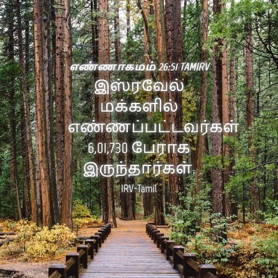 Picture 04 - எண்ணாகமம் 26:51 TAMIRV - இஸ்ரவேல் மக்களில் - Bible Verse Picture