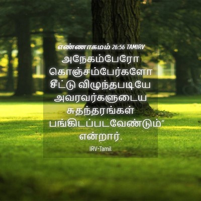 Picture 04 - எண்ணாகமம் 26:56 TAMIRV - அநேகம்பேரோ - Bible Verse Picture