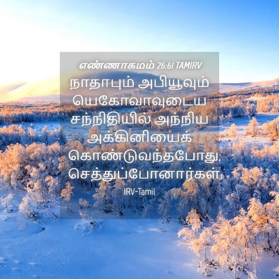 Picture 04 - எண்ணாகமம் 26:61 TAMIRV - நாதாபும் - Bible Verse Picture