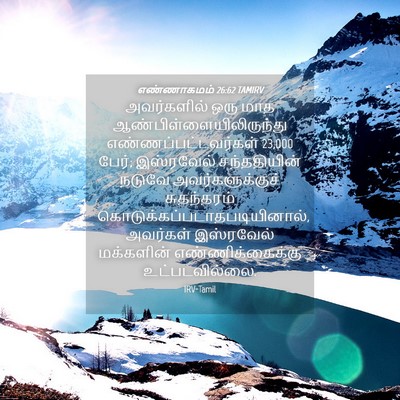 Picture 04 - எண்ணாகமம் 26:62 TAMIRV - அவர்களில் ஒரு மாத - Bible Verse Picture