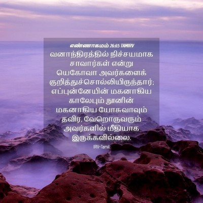 Picture 04 - எண்ணாகமம் 26:65 TAMIRV - வனாந்திரத்தில் - Bible Verse Picture