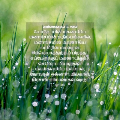 Picture 04 - எண்ணாகமம் 27:1 TAMIRV - யோசேப்பின் - Bible Verse Picture
