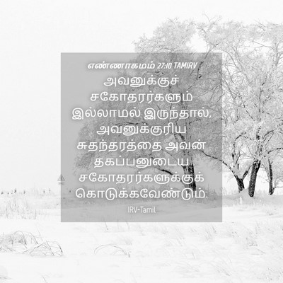 Picture 04 - எண்ணாகமம் 27:10 TAMIRV - அவனுக்குச் - Bible Verse Picture