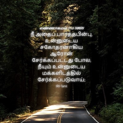 Picture 04 - எண்ணாகமம் 27:13 TAMIRV - நீ அதைப் - Bible Verse Picture