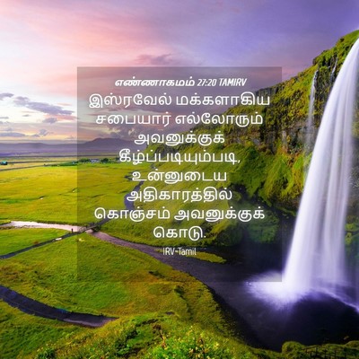 Picture 04 - எண்ணாகமம் 27:20 TAMIRV - இஸ்ரவேல் - Bible Verse Picture
