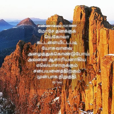 Picture 04 - எண்ணாகமம் 27:22 TAMIRV - மோசே தனக்குக் - Bible Verse Picture