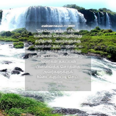 Picture 04 - எண்ணாகமம் 27:7 TAMIRV -  - Bible Verse Picture