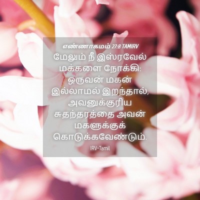 Picture 04 - எண்ணாகமம் 27:8 TAMIRV - மேலும் நீ - Bible Verse Picture