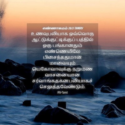 Picture 04 - எண்ணாகமம் 28:13 TAMIRV - உணவுபலியாக - Bible Verse Picture