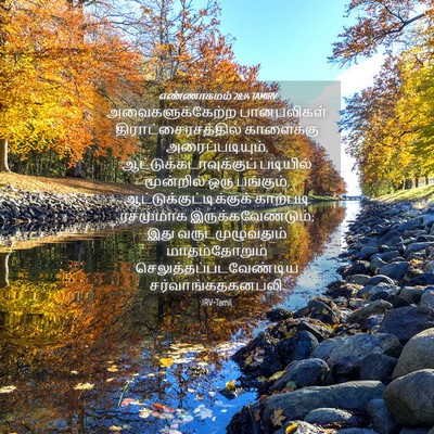 Picture 04 - எண்ணாகமம் 28:14 TAMIRV - அவைகளுக்கேற்ற - Bible Verse Picture