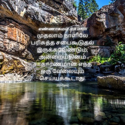 Picture 04 - எண்ணாகமம் 28:18 TAMIRV - முதலாம் நாளிலே - Bible Verse Picture