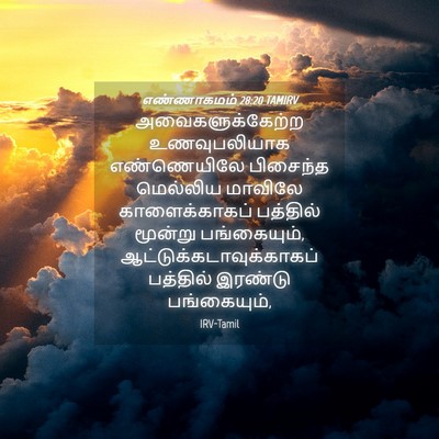 Picture 04 - எண்ணாகமம் 28:20 TAMIRV - அவைகளுக்கேற்ற - Bible Verse Picture