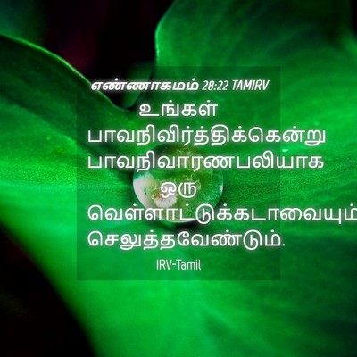 Picture 04 - எண்ணாகமம் 28:22 TAMIRV - உங்கள் - Bible Verse Picture