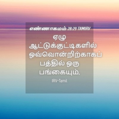 Picture 04 - எண்ணாகமம் 28:29 TAMIRV - ஏழு - Bible Verse Picture