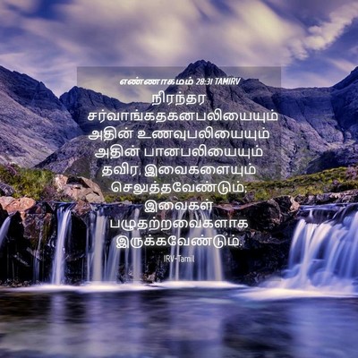Picture 04 - எண்ணாகமம் 28:31 TAMIRV - நிரந்தர - Bible Verse Picture