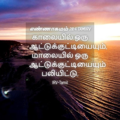 Picture 04 - எண்ணாகமம் 28:4 TAMIRV - காலையில் ஒரு - Bible Verse Picture