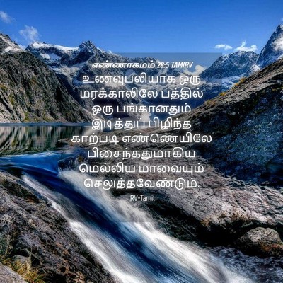 Picture 04 - எண்ணாகமம் 28:5 TAMIRV - உணவுபலியாக ஒரு - Bible Verse Picture