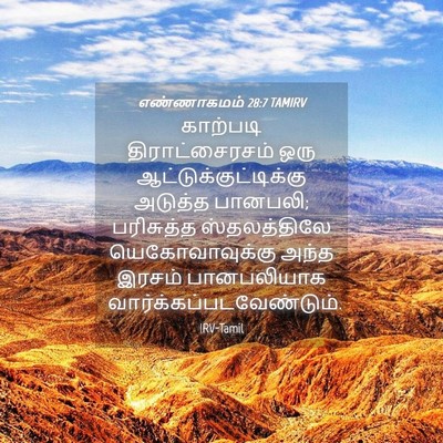 Picture 04 - எண்ணாகமம் 28:7 TAMIRV - காற்படி - Bible Verse Picture