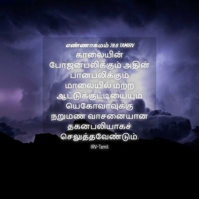 Picture 04 - எண்ணாகமம் 28:8 TAMIRV - காலையின் - Bible Verse Picture