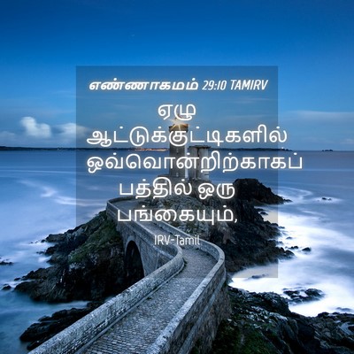 Picture 04 - எண்ணாகமம் 29:10 TAMIRV - ஏழு - Bible Verse Picture