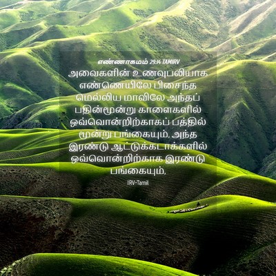 Picture 04 - எண்ணாகமம் 29:14 TAMIRV - அவைகளின் - Bible Verse Picture