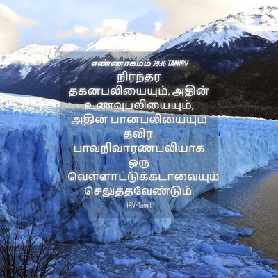 Picture 04 - எண்ணாகமம் 29:16 TAMIRV - நிரந்தர - Bible Verse Picture