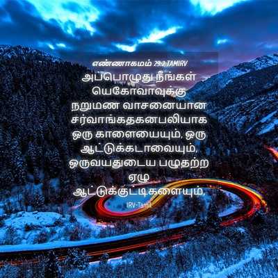 Picture 04 - எண்ணாகமம் 29:2 TAMIRV - அப்பொழுது நீங்கள் - Bible Verse Picture