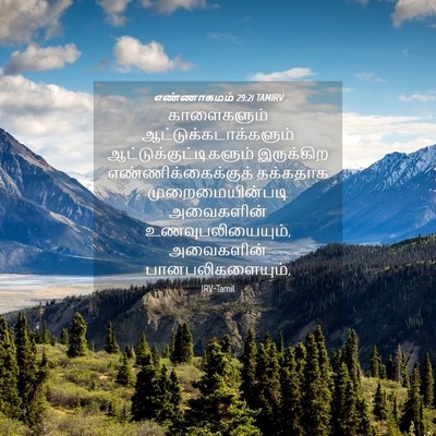 Picture 04 - எண்ணாகமம் 29:21 TAMIRV - காளைகளும் - Bible Verse Picture