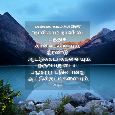 Picture 04 - எண்ணாகமம் 29:23 TAMIRV - “நான்காம் நாளிலே - Bible Verse Picture