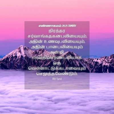 Picture 04 - எண்ணாகமம் 29:25 TAMIRV - நிரந்தர - Bible Verse Picture