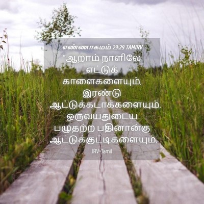 Picture 04 - எண்ணாகமம் 29:29 TAMIRV - “ஆறாம் நாளிலே - Bible Verse Picture